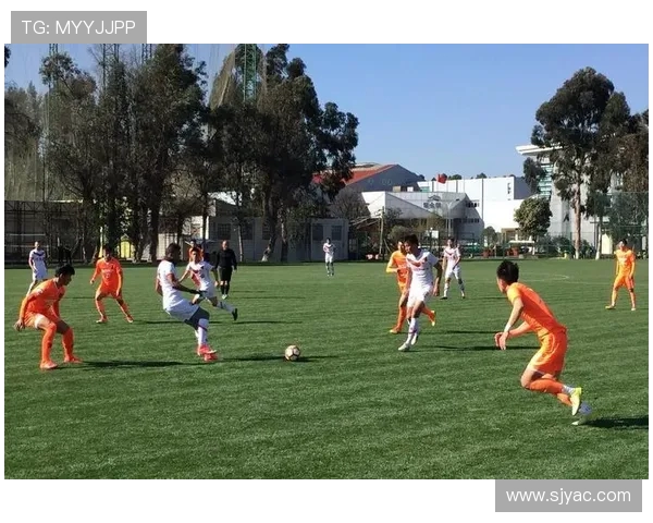 北京乒乓球队阵地战革新探索新战术与训练模式的深度分析