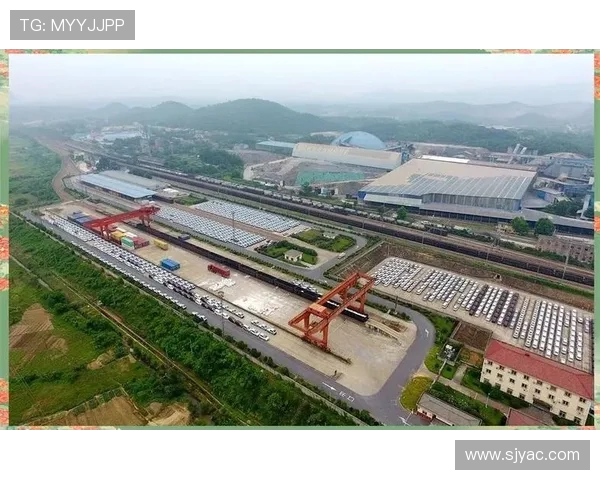 南京排球队的整体压制革新之路探索与未来展望 南京排球队的整体压制革新之路探索与未来展望