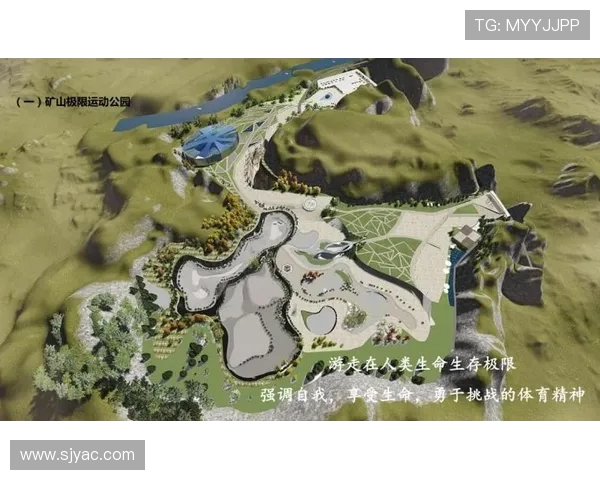 南京极限运动队技术创新与挑战的深度分析与探讨