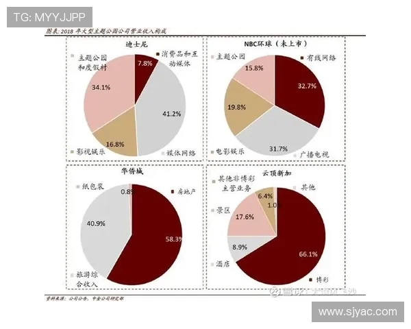 南京网球队在杯赛中的团队协作表现分析与启示
