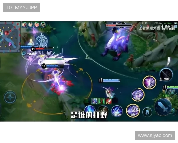 王者荣耀深度解析：揭开JDG战队默契配合的秘密与策略