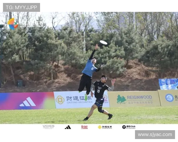 聚焦飞盘运动北京飞盘队实力分析与发展前景探讨