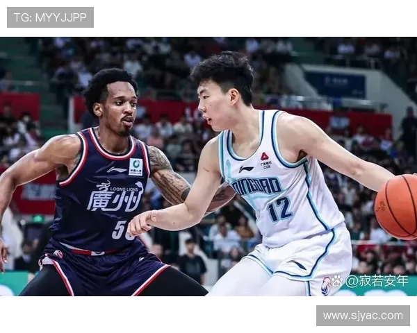 2016至2017赛季辽宁队与青岛队精彩对决回顾与分析