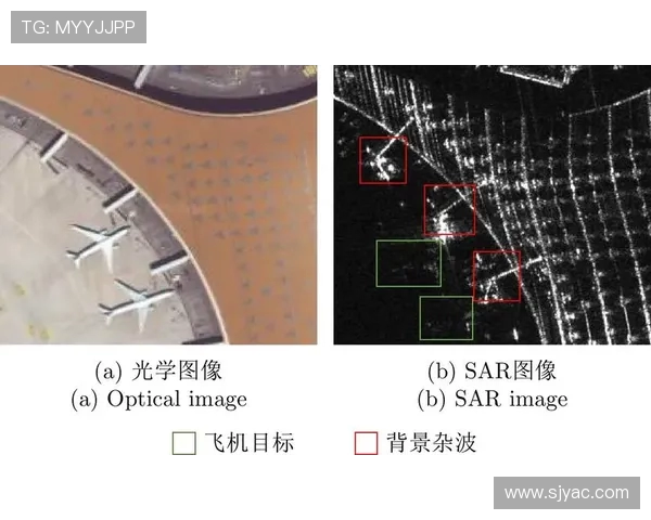 北京飞盘队状态分析与未来发展展望探讨