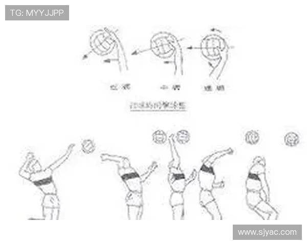 深入分析北京排球队区域防守策略及其在比赛中的应用与效果