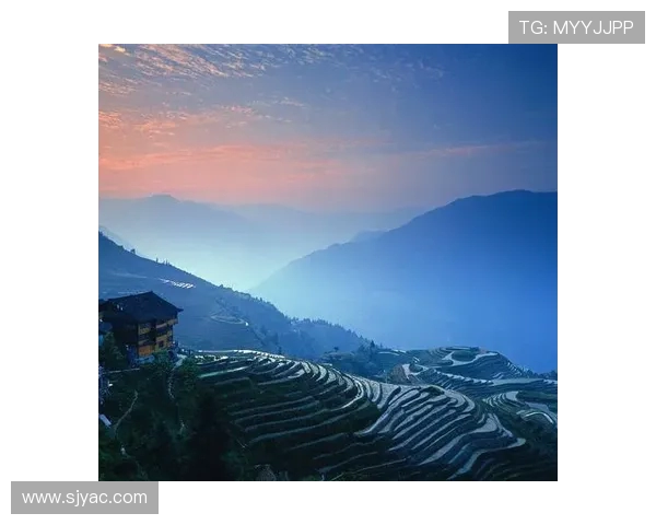 飞盘灵活性实力榜单权威发布揭示各队实力排名与发展潜力