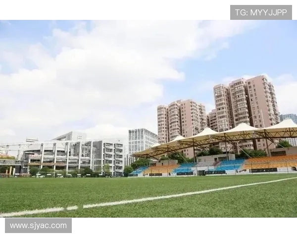 上海排球队的比赛经验分享与成长之路探讨