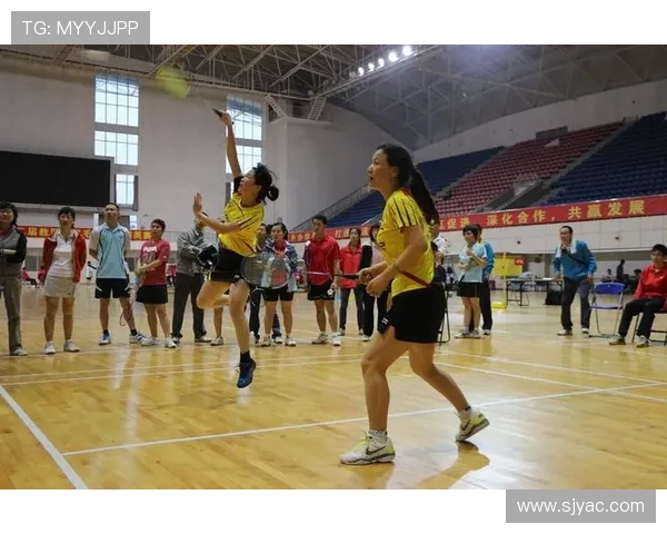 对话张强：回顾羽毛球生涯的辉煌与挑战与未来展望